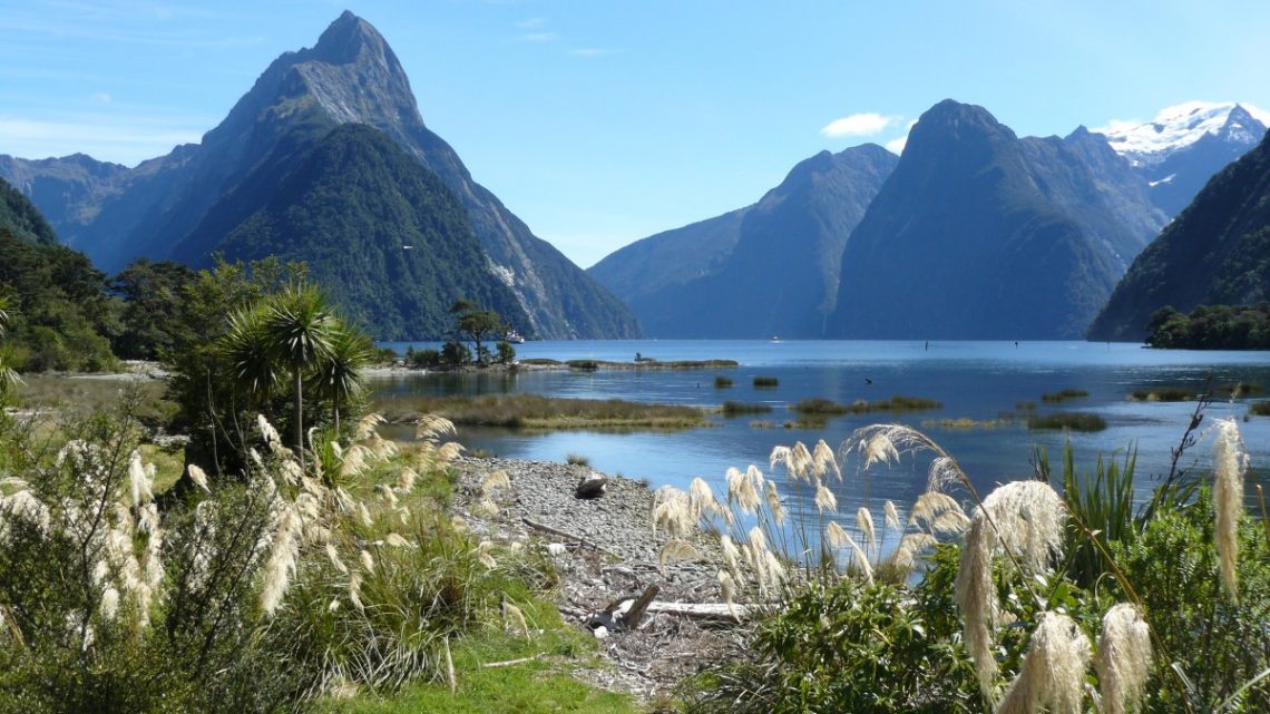 Le top des activités de vacances à ne pas manquer en Nouvelle-Zélande